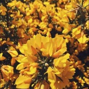 Meet your Posher, Erik